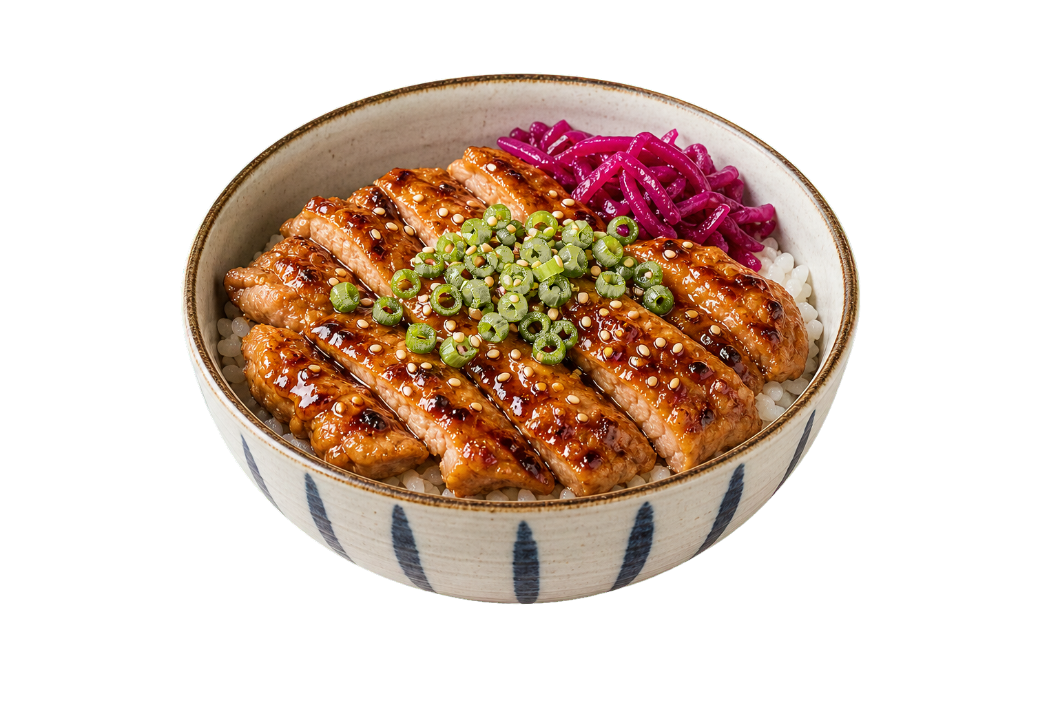 Donburi rice bowl